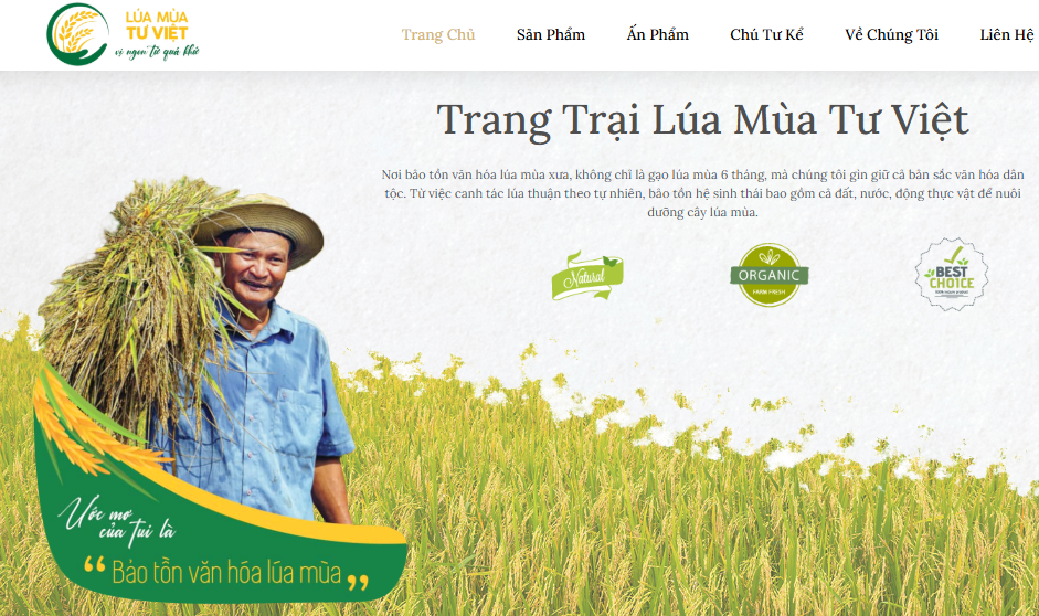 Lúa mùa Từ Việt