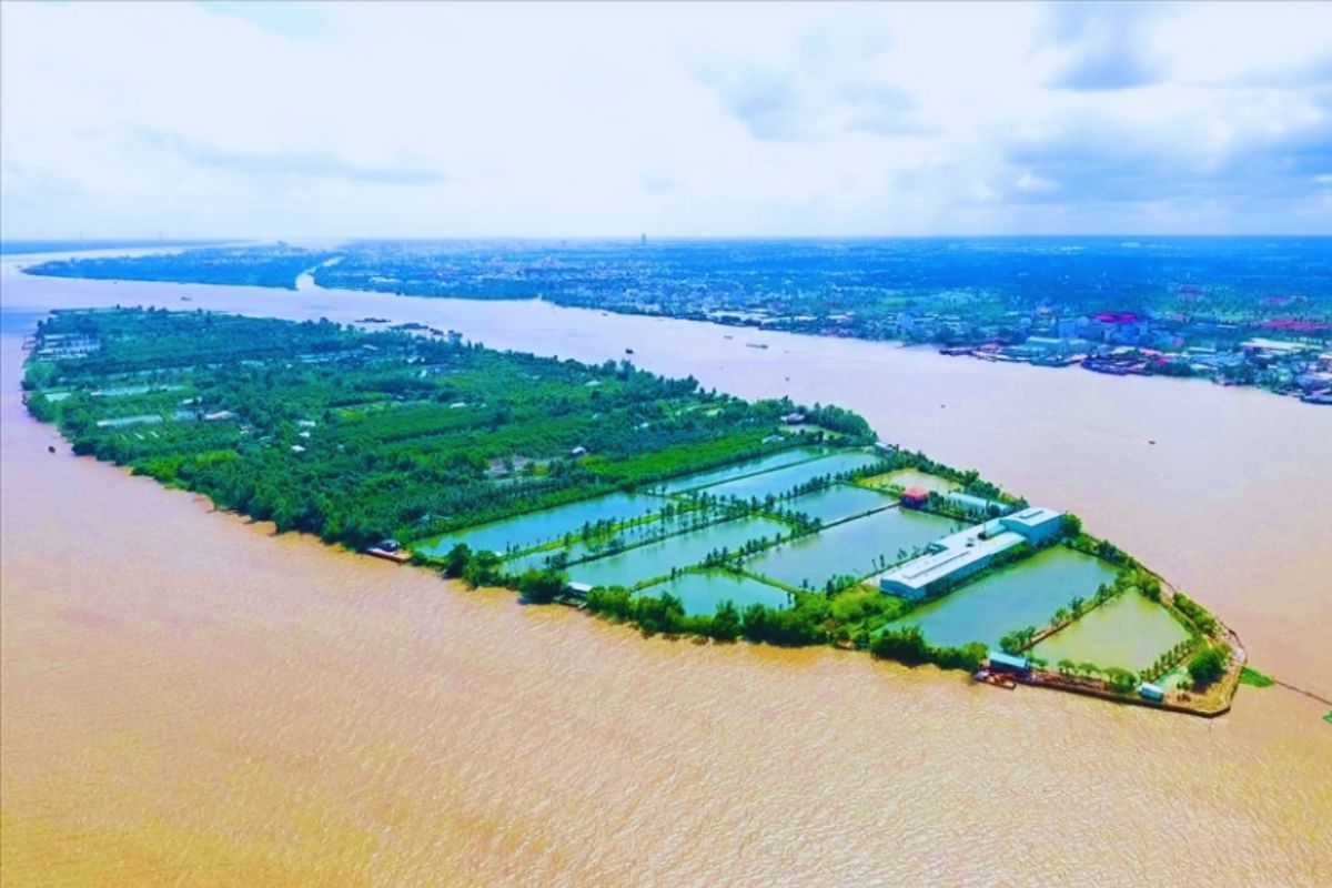 Cồn Sơn