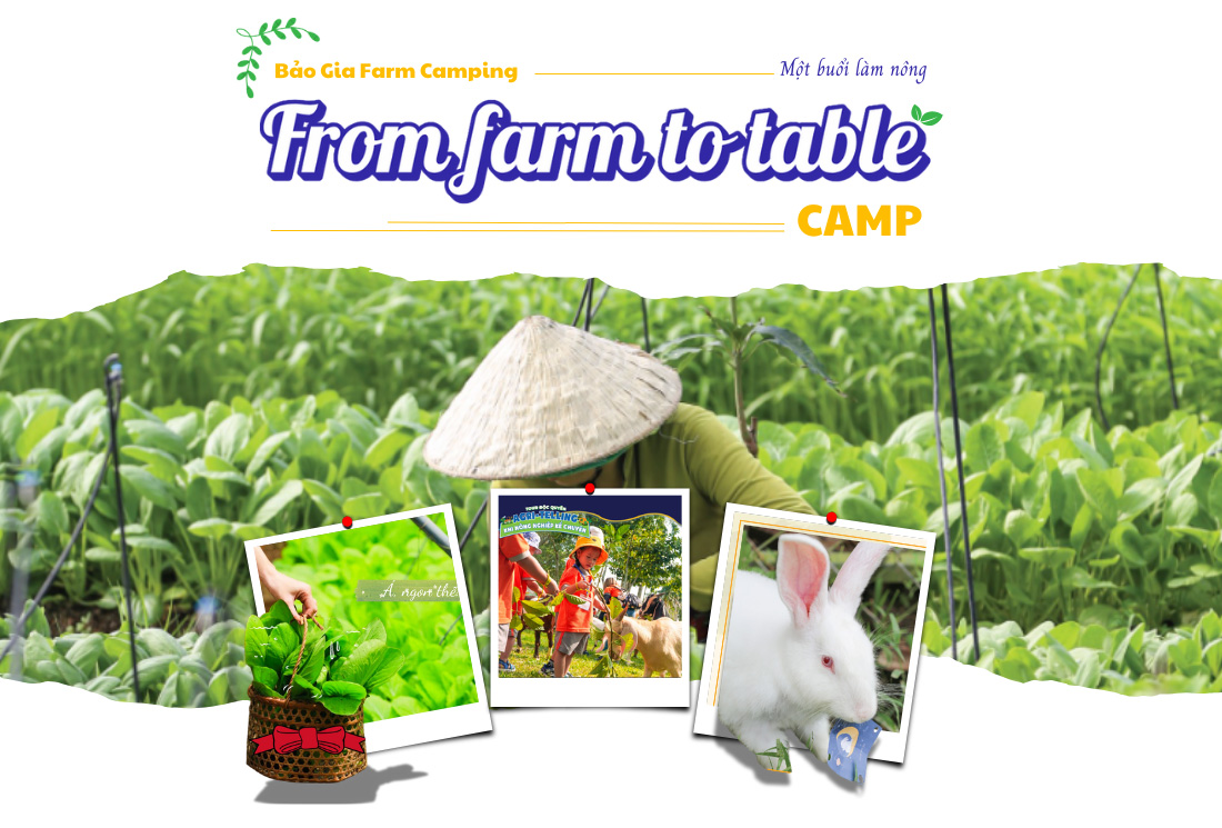 Bảo Gia Farm