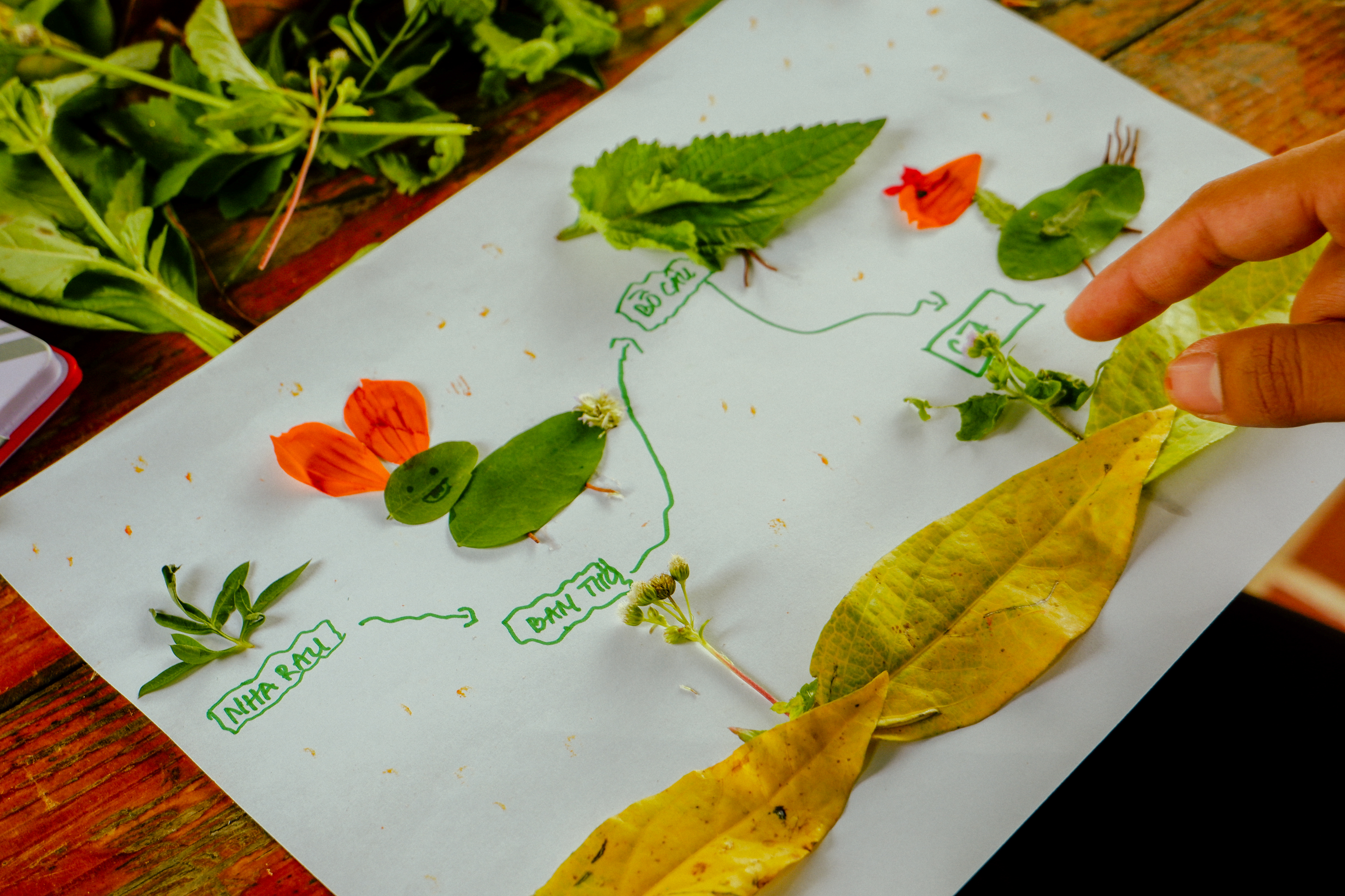 Bảo Gia Farm Camping