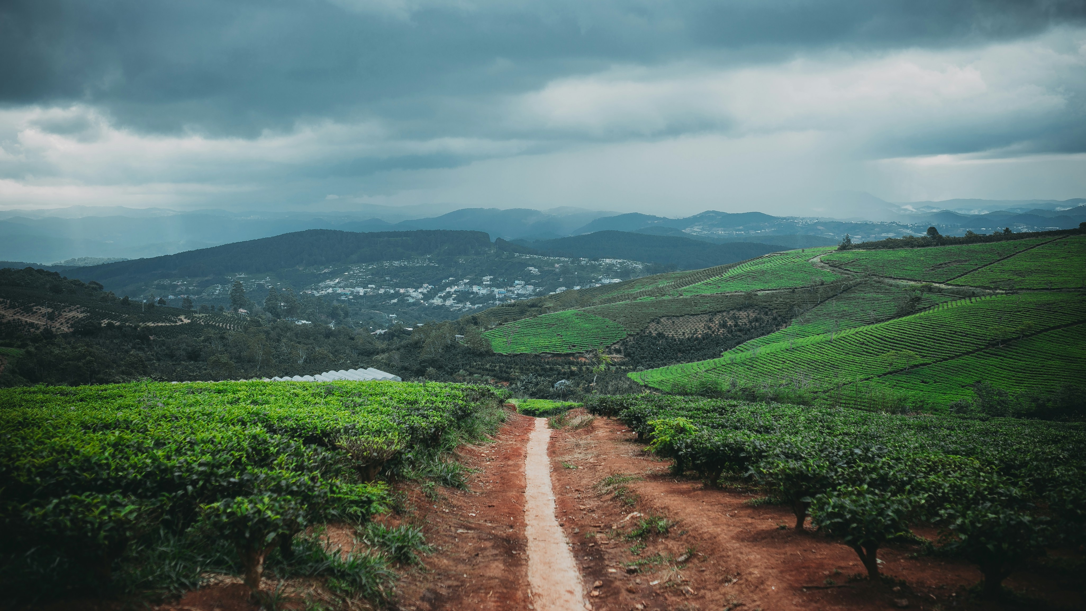 thong-vo-TaoOWo6wzbg-unsplash